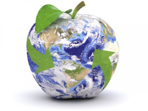 economa circular