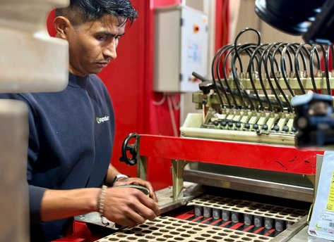 Semillas recubiertas: Sakata EMEA se anticipa a la nueva normativa sobre microplsticos