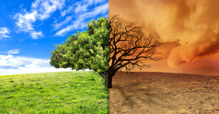 clima