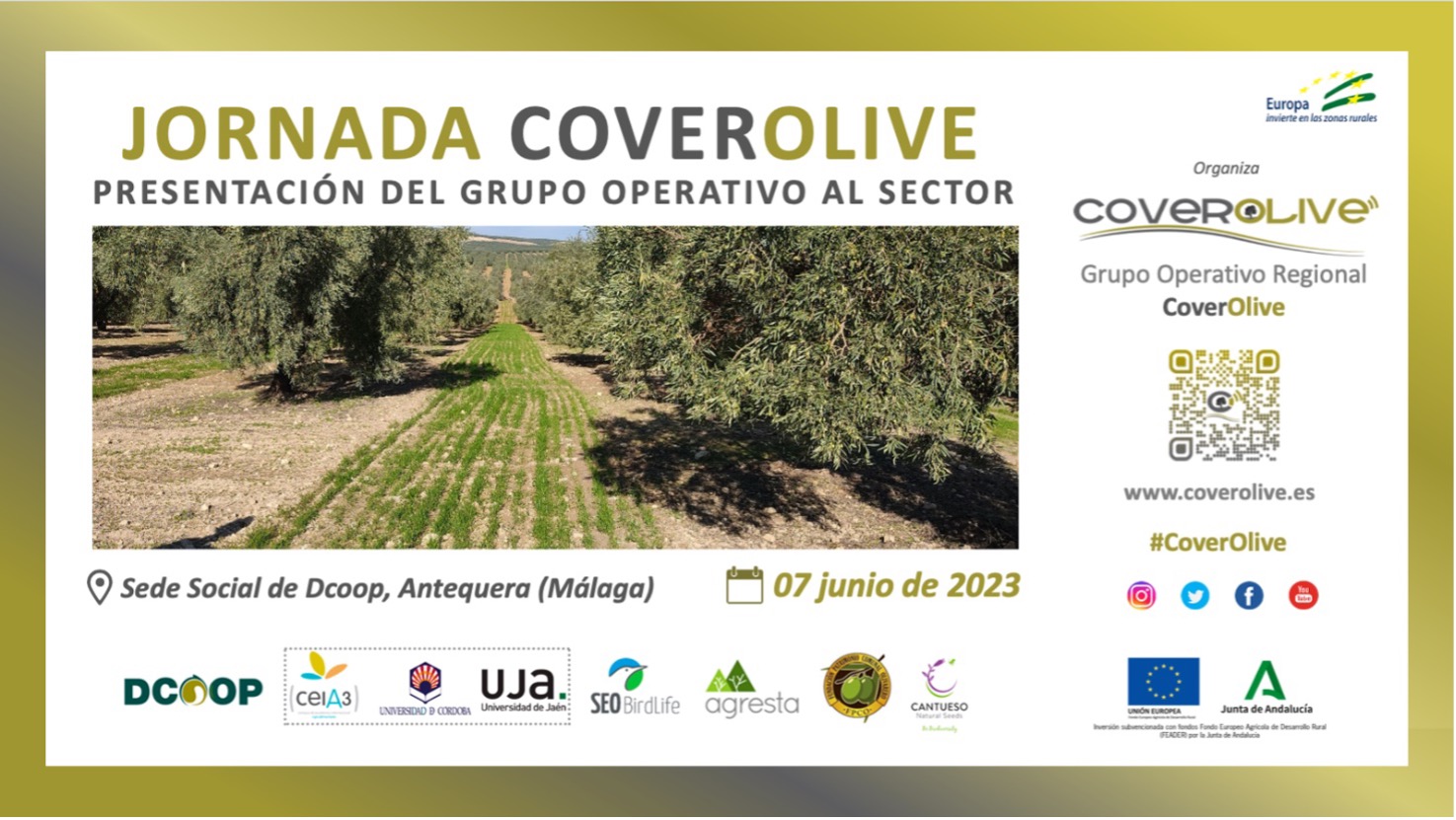 G.O. CoverOlive