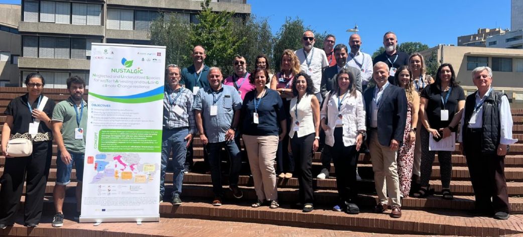 El IAS-CSIC participa en el proyecto Nustalgic