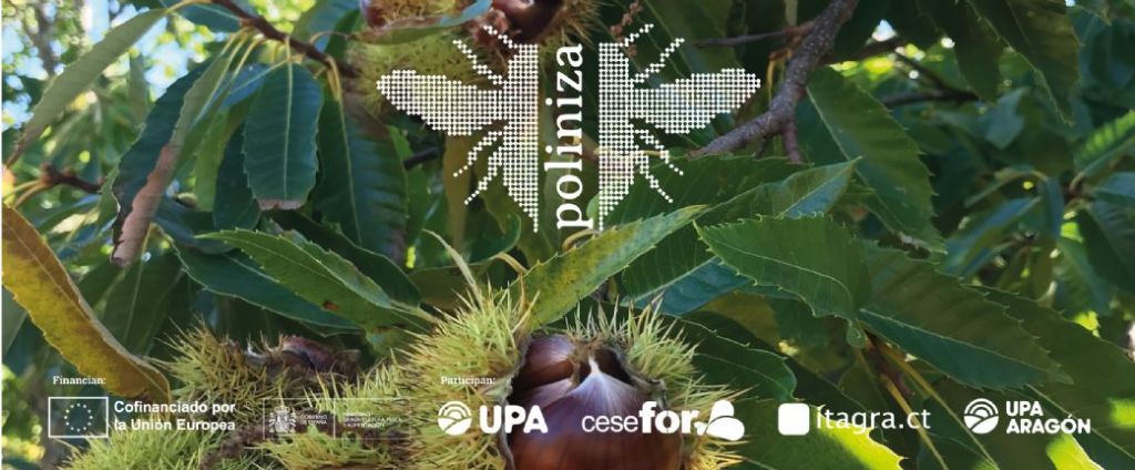 Nace GO POLINIZA para reforzar la polinizaci�n y la apicultura familiar