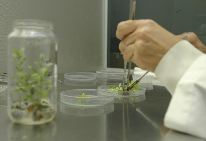 laboratorio