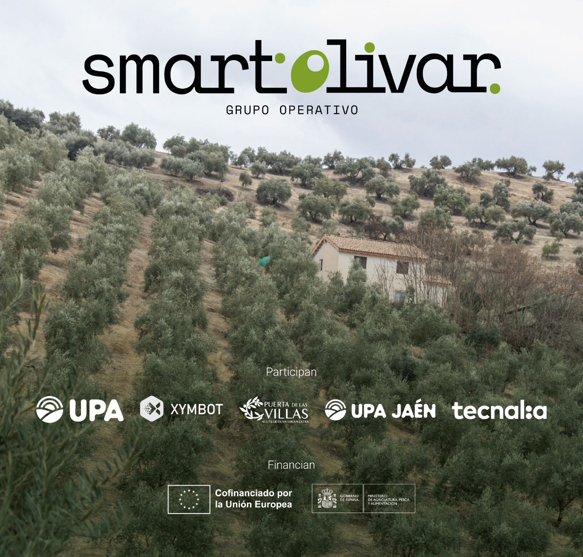 SmartOlivar pone la inteligencia artificial al servicio del olivar